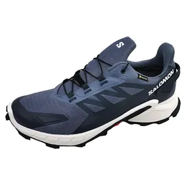 Salomon Supercross 4 GTX Herren Grisaille/White/Carbon 42