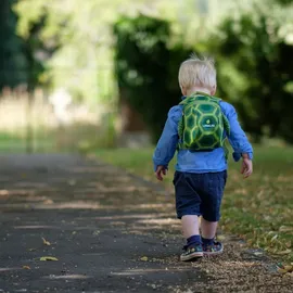 Littlelife Animal Kleinkind Daypack, Schildkröte