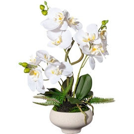 Creativ green Kunstorchidee »Orchidee Phalaenopsis im Keramiktopf«, weiß