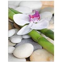 ARTland Artland, Zen Orchidee T3BE (45 x 60 cm)