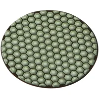 Flex Diamant-Schleifpad DP 50 D150 Dry / Trocken, 418.978