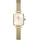 Daniel Wellington Quadro Mini Evergold G 15X18Mm Champagne Sunray - Gr. unisize - in Gold