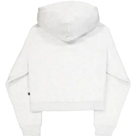 Alpha Industries Hoodie Grau Melange L