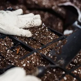 Gardenguru Perlite 125L für Pflanzen zur Bodenverbesserung Bauwesen Substrat ideal für Garten und Zimmerpflanzen