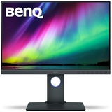 BenQ SW240 24"