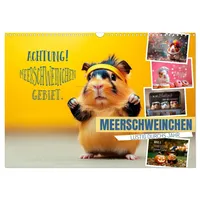 Calvendo Meerschweinchen LUSTIG DURCHS JAHR (Wandkalender 2026 DIN A3