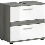 WELLTIME LUCCA Waschbeckenunterschrank 60 x 57 x 34 cm Grau/Silberfarben