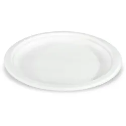 Teller aus Zuckerrohr, 23 cm