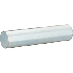Press-Achse 85 x ∅ 19mm V4699-5
