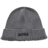 Boss Asic Mütze Light / Pastel Grey One Size