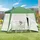 Outsunny Gartenpavillon 3 x 3 m inkl. 4 Seitenteile Grün