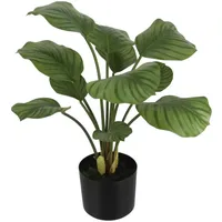 Aplanta Künstliche Calathea - Jamila | 58 cm,