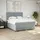 vidaXL Boxspringbett 180 x 200 cm Hellgrau
