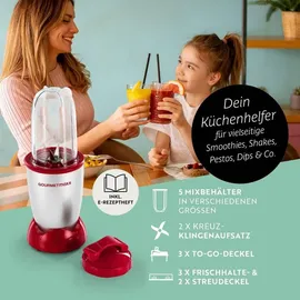 GOURMETmaxx Mr. Magic Power Pro Standmixer