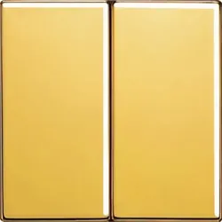 JUNG Wippe go24Karat LS 995 GGO