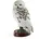 The Harry Potter Magical Creatures Statue Hedwig 24 cm Grau
