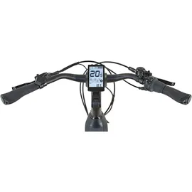 Prophete Geniesser 4.0 28 Zoll RH 48 cm Schwarz Matt/Silber