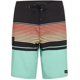 O'Neill Lennox Stripe 21 Badeshorts Blau 30