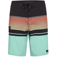 O'Neill Lennox Stripe 21 Badeshorts Blau 30