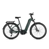 Kalkhoff Endeavour 5+ Advance 2026 29 Zoll RH 48 cm grün/black glossy