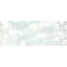 Sebastian Professional Cellophanes Haartönung Clear 300 ml