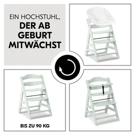 hauck Alpha+ mint