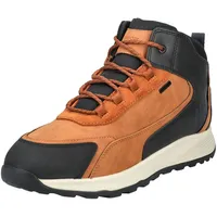 GEOX Stiefelette Stiefelette Kunstleder/Textil | 41