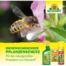 NEUDORFF 2 in 1 Rosenschutz 100 ml