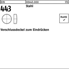 F. REYHER Nchfg. GmbH & Co. KG DIN 443 Verschlussscheibe Stahl 38mm