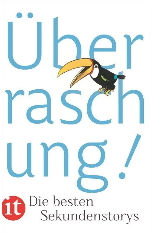 Überraschung!  Taschenbuch