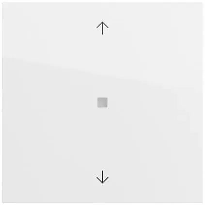 Gira 517270 Taster mit Wippe 1-fach Pfeilsymbole für Gira One und KNX, System 70, reinweiß glänzend