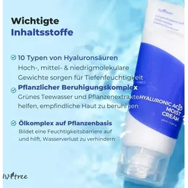 Isntree Hyaluronic Acid Moist Cream 100 ml
