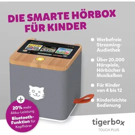 Tiger Media Tigerbox Touch Plus grau