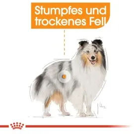 Royal Canin Coat Care 12 x 85 g