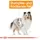 Royal Canin Coat Care 12 x 85 g
