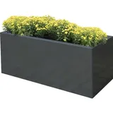 Palatino Lotte 120 x 40 x 50 cm Anthrazit
