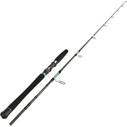 Sportex Magnus Mastergrade Jigging RS-2 MJ1928 1,90m 200g Meeresrute
