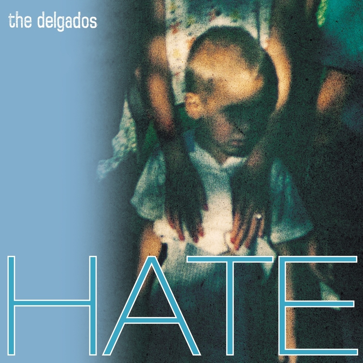 Hate - The Delgados. (CD)