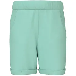 NAME IT NMMVIKING LONG SHORTS KA