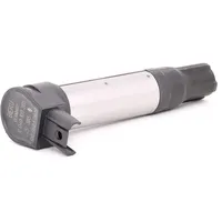 BorgWarner (Beru) (BERU) Zündspule ZS385