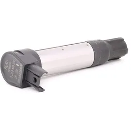BorgWarner (Beru) (BERU) Zündspule ZS385