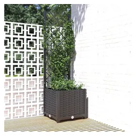 vidaXL Pflanzkübel mit Spalier 40 x 40 x 136 cm Schwarz