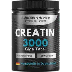 EXVital® Creatin Monohydrat 3000 Tabletten 345 g