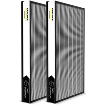 Kärcher Filterset TVOC AF100 2x