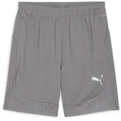 Puma Teamfinal Training Shorts cast iron-puma silver (13) L