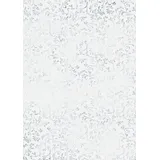 Heyda 204879551 Transparentpapier ("Roma" DIN A4, 21 x 31 cm, 115 g/qm) silber