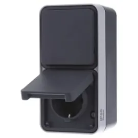 Berker Kombination Wechselschalter/Steckdose grau 1 St.