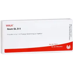 Ileum GL D 5 Ampullen 10X1 ml
