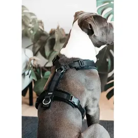 Kentucky Active Velvet Hundegeschirr Schwarz 26-40 cm
