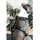 Kentucky Active Velvet Hundegeschirr Schwarz 26-40 cm